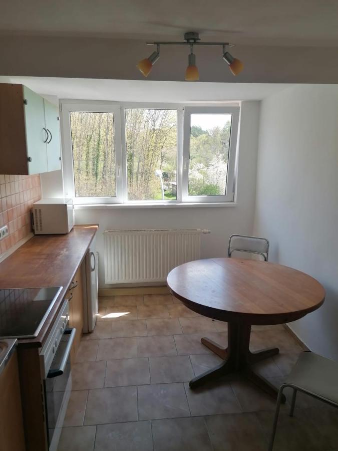 Gaestehaus An Der Warnow Apartman Schwaan Kültér fotó